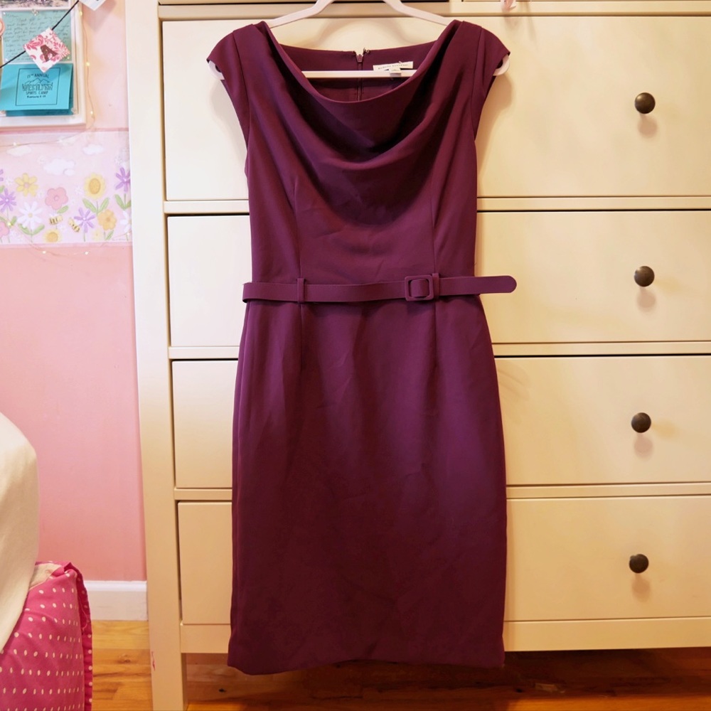 Banana Republic Dress Purple with Buckle